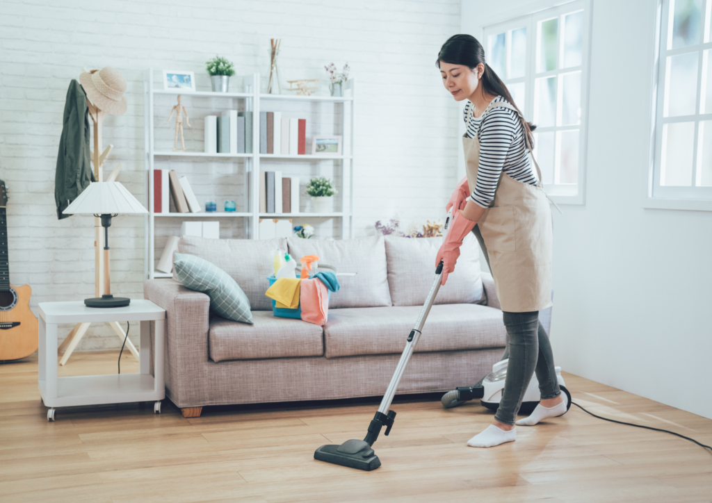 domestic cleaner